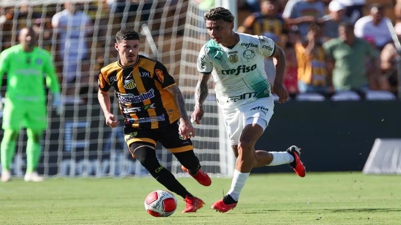 palmeiras 3